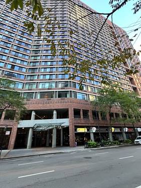 211 E Ohio Unit VALET-109, Chicago, IL 60611