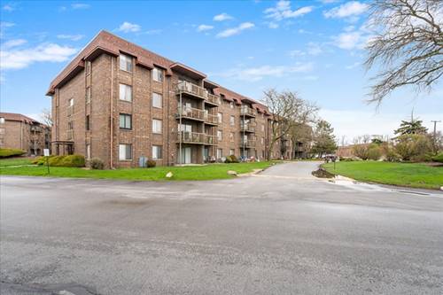 820 Elder Unit C411, Homewood, IL 60430