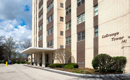 141 N La Grange Unit 306, La Grange, IL 60525