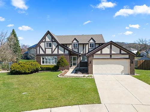 9733 S Cambridge, Palos Hills, IL 60465