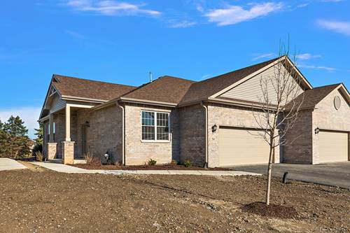 58 Olympus, Tinley Park, IL 60477