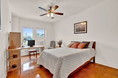 1100 N Lasalle Unit 507, Chicago, IL 60610