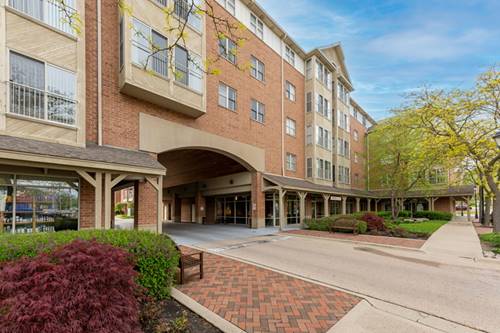 100 N Bokelman Unit 330, Roselle, IL 60172