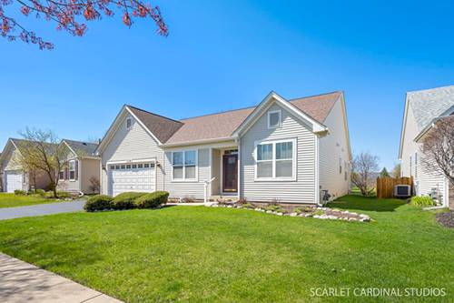 739 Bohannon, Oswego, IL 60543