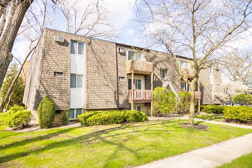 218 Madison Unit 3D, Joliet, IL 60435