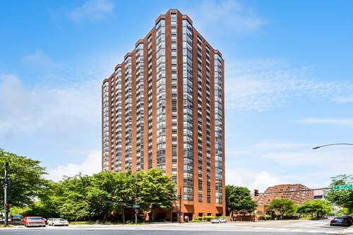 899 S Plymouth Unit 502, Chicago, IL 60605