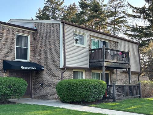 239 W Cornell Unit 102, Palatine, IL 60067
