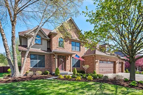 25712 Skyline, Plainfield, IL 60585