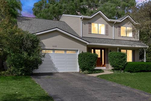 1117 Wishing Well, Naperville, IL 60564