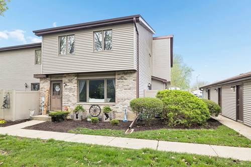 1022 Schoolgate Unit 3, New Lenox, IL 60451