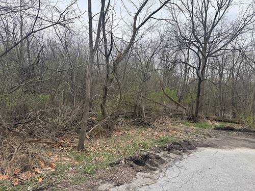 22828 Frederick, Steger, IL 60475