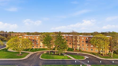 1475 Rebecca Unit 217, Hoffman Estates, IL 60169