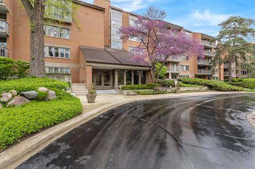 22 Park Unit 404, Park Ridge, IL 60068