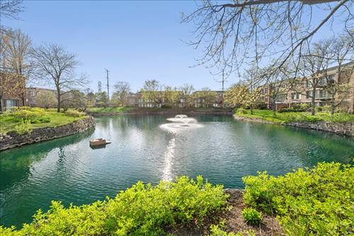 1040 Arbor, Northfield, IL 60093