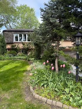 248 Spruce, Bensenville, IL 60106