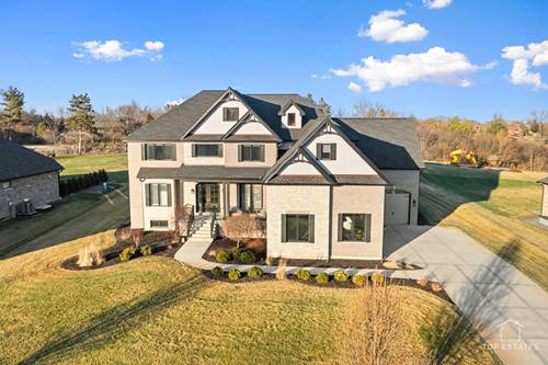 17931 S Crystal Lake, Mokena, IL 60448