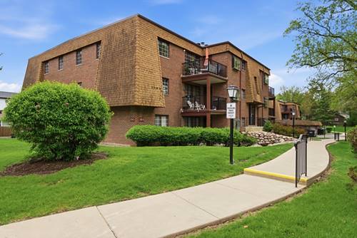 385 Duane Unit 304, Glen Ellyn, IL 60137