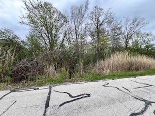 17W246 Red Oak, Bensenville, IL 60106