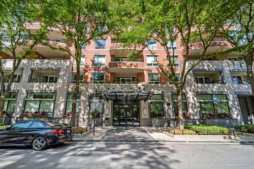 270 E Pearson Unit 101, Chicago, IL 60611