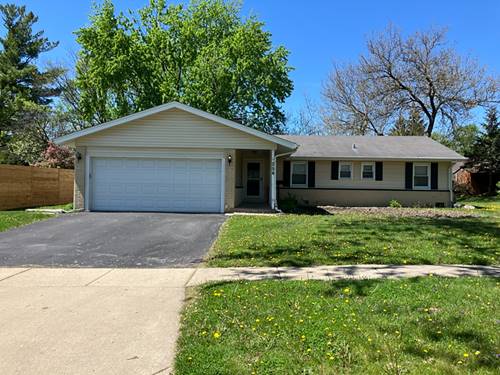 254 Placid, Elk Grove Village, IL 60007
