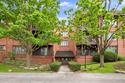 75 Boardwalk Unit 203, Park Ridge, IL 60068