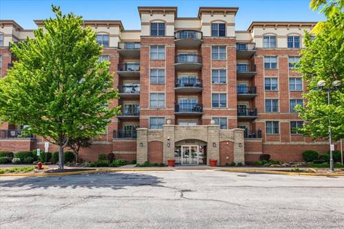 9530 Cook Unit 411, Oak Lawn, IL 60453