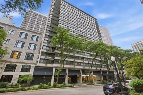 33 E Cedar Unit 5B, Chicago, IL 60611
