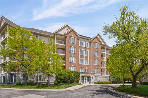 640 Robert York Unit 303, Deerfield, IL 60015