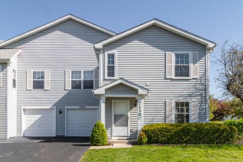 1230 Orleans, Mundelein, IL 60060