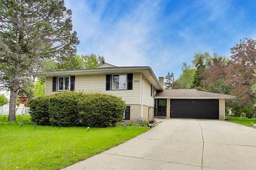 533 Carr, Schaumburg, IL 60193