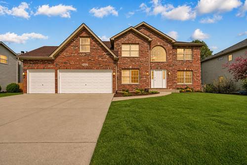 13217 Millbank, Plainfield, IL 60585