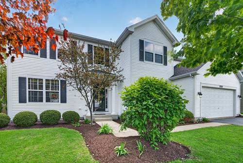 13809 Trillium, Plainfield, IL 60544