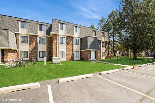 260 E Court Of Shorewood Unit 4, Vernon Hills, IL 60061