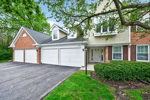 802 Butternut Unit C, Mount Prospect, IL 60056