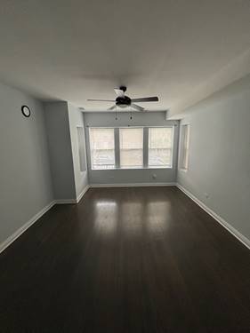 7240 S Cornell Unit 1, Chicago, IL 60649