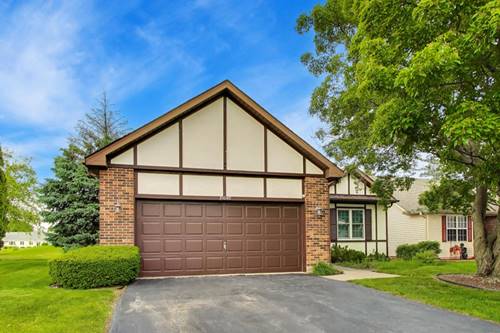 21040 W Hazelnut, Plainfield, IL 60544