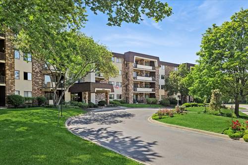 3350 N Carriageway Unit 303, Arlington Heights, IL 60004