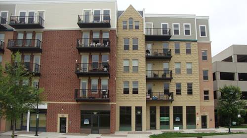 326 River Unit 4503, Lemont, IL 60439