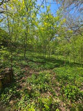 38581 N Hillandale, Spring Grove, IL 60081
