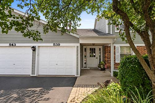 543 N Deer Run Unit 8A11, Palatine, IL 60067