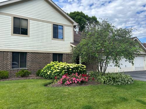 823 E Coach Unit 5, Palatine, IL 60074