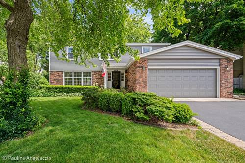 609 N Eagle, Palatine, IL 60067