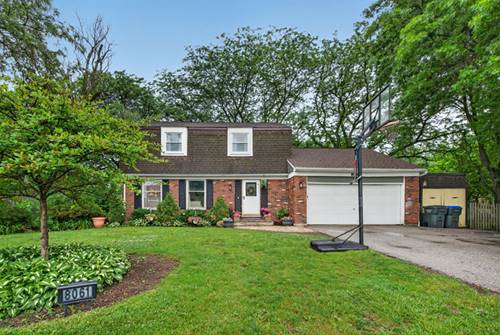 8061 W Hill, Frankfort, IL 60423