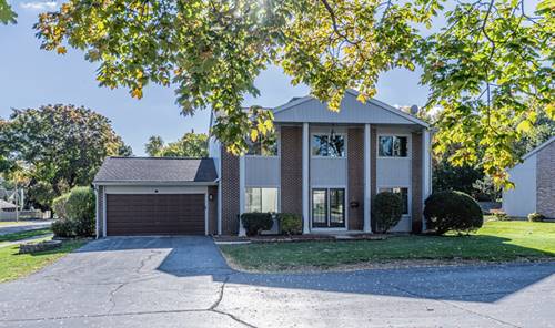 380 Ventura Club, Roselle, IL 60172