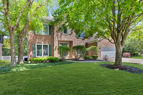 15235 Hamlin, Plainfield, IL 60544