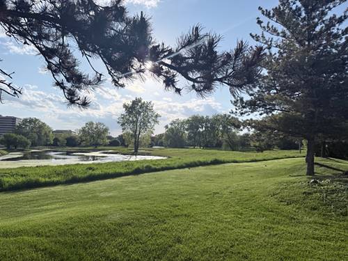 1S476 Renaissance, Oak Brook, IL 60523