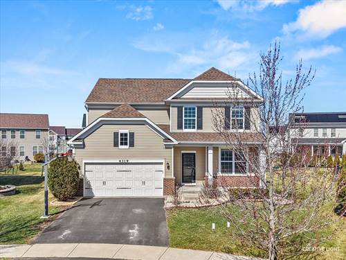 4319 Silver Bell, Naperville, IL 60564