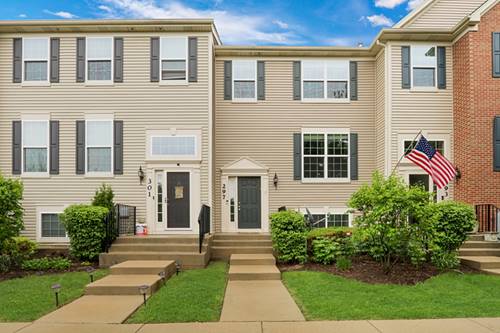297 Lionel, Grayslake, IL 60030
