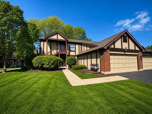 384 Sandhurst Unit 3, Glen Ellyn, IL 60137