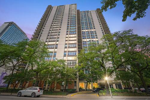 1255 N Sandburg Unit 206, Chicago, IL 60610